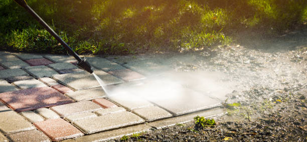 Best Residential Exterior Washing  in Cutlerville, MI
